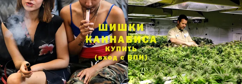 Конопля LSD WEED  магазин  наркотиков  blacksprut вход  Гурьевск 